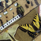 Illustration for article titled How do you pursue a Career in Forest Entomology?